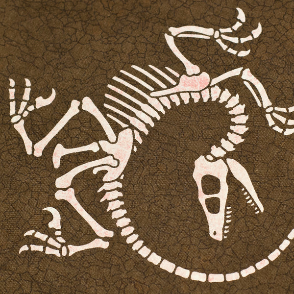 Velociraptor Fossil - Crackle