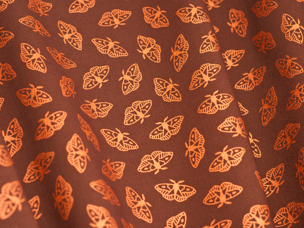 Moths - Coffee