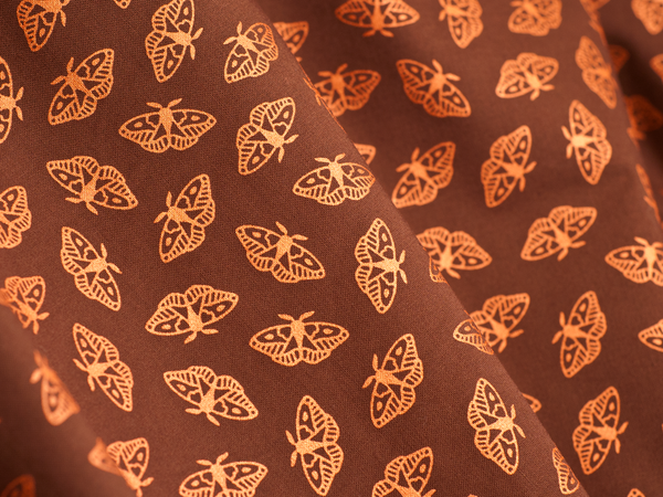Moths - Coffee
