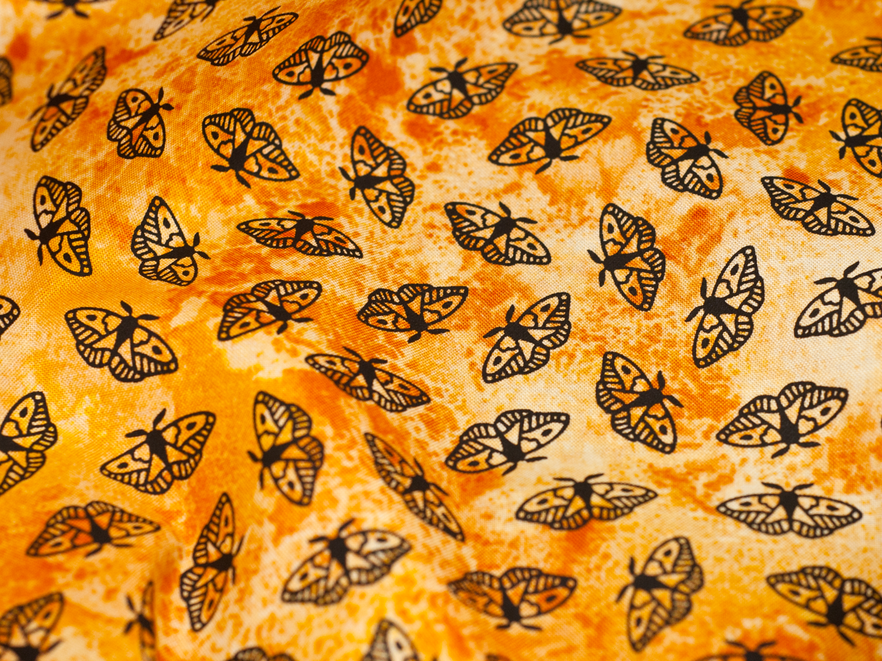 Moths - Golden