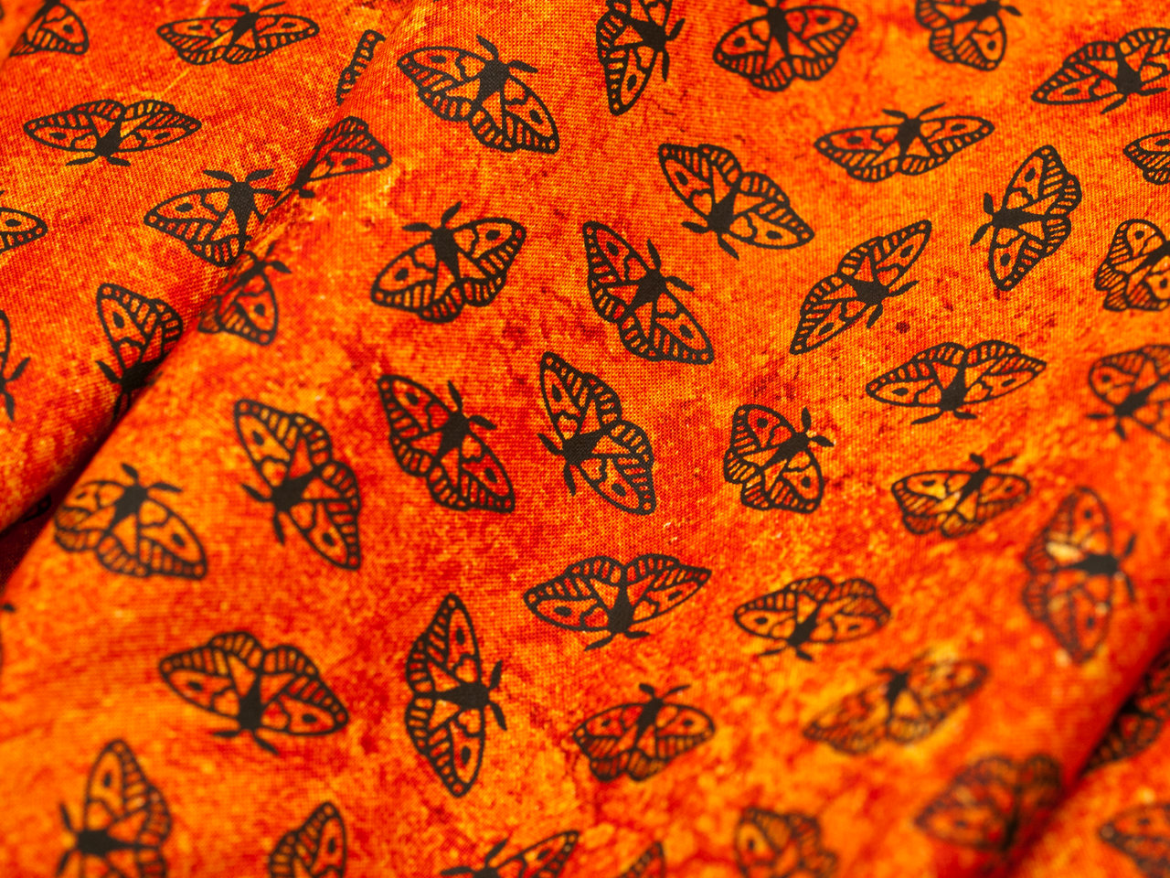 Moths - Orange Rock